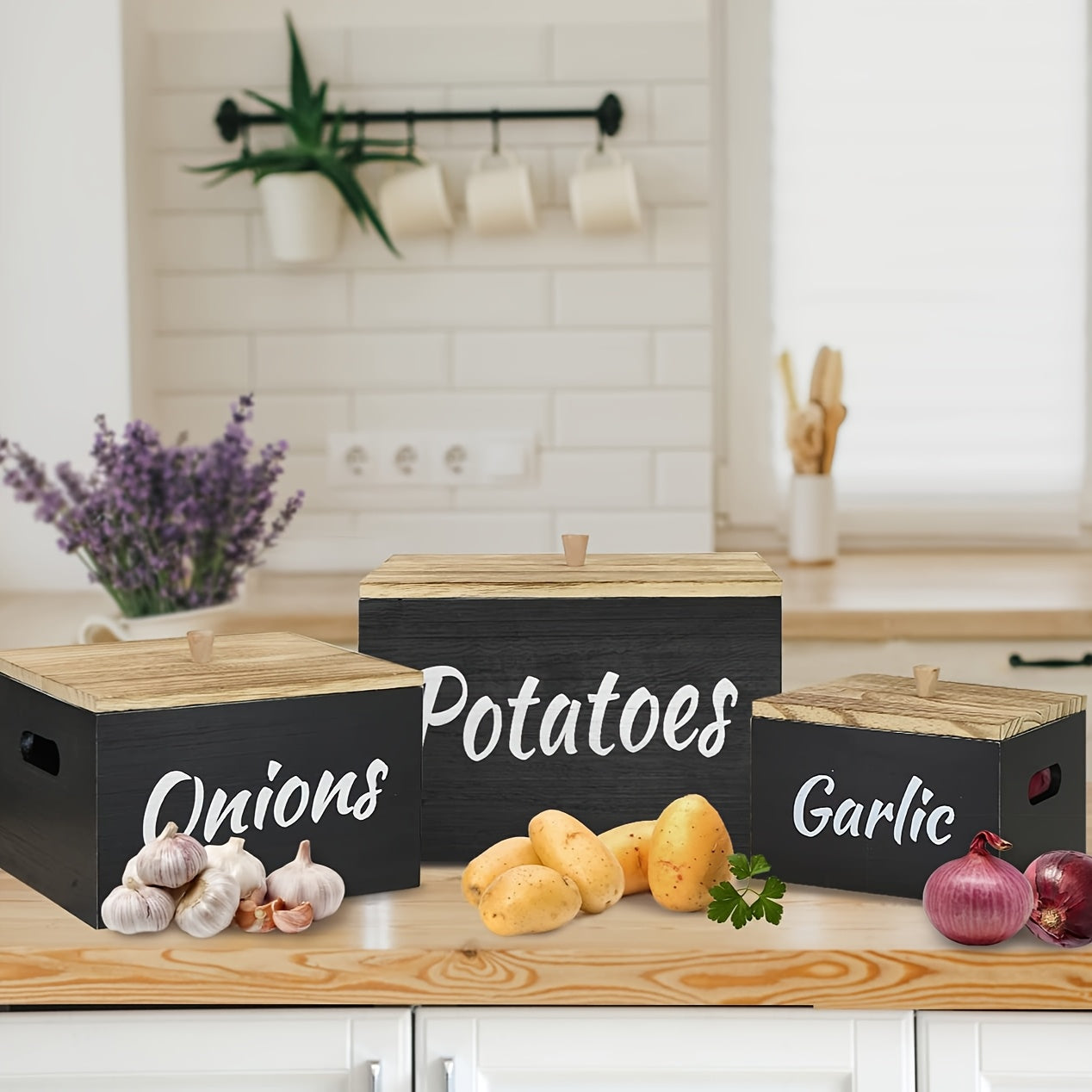 3pcs Wooden Kitchen Canister Set with Lids